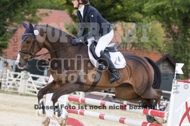 Sterne über Münster 2019 - CCI***S