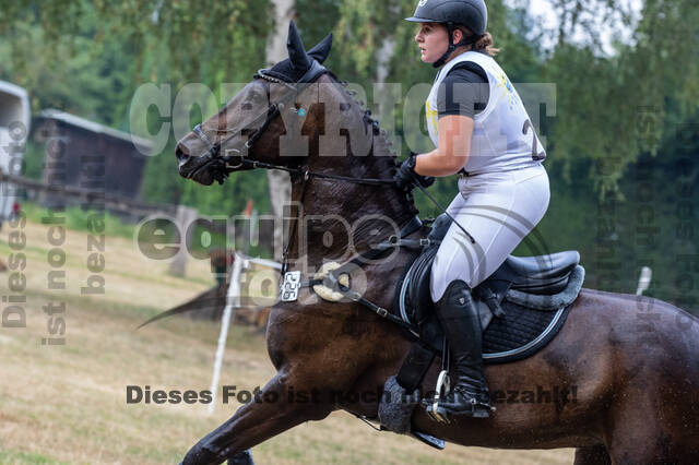 Late-Entry Vielseitigkeit Hamminkeln/Wesel (01.+02.08.2020)