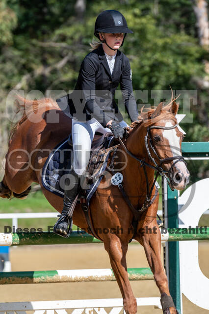 RFV Dinslaken-Hiesfeld (Herbstturnier)