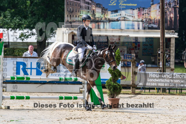 Goldene Schärpe 2021 - Ponys