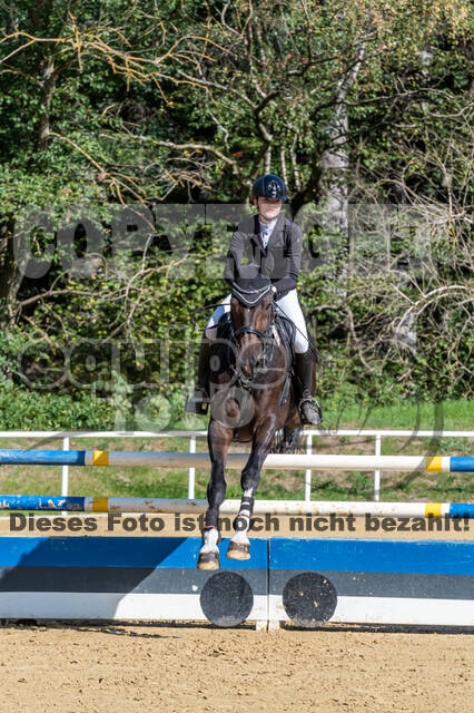 RFV Dinslaken-Hiesfeld (Herbstturnier)