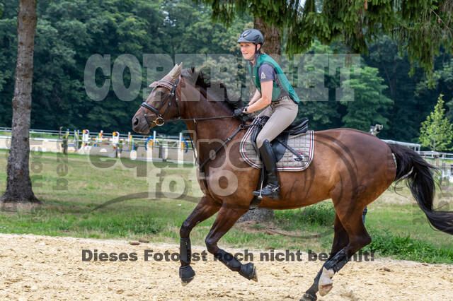 Hunter Geländetraining 10.07.2021 (Sonsbeck)