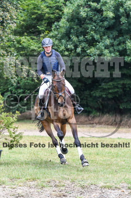 Late-Entry-Vielseitigkeit Langenfeld (11.+13./14.06.2020)