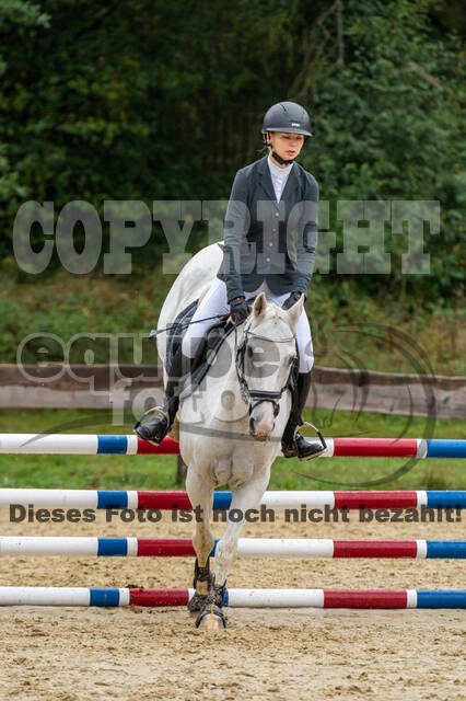 Vielseitigkeit RSV Wesel Obrighoven (26.+27.09.2020)