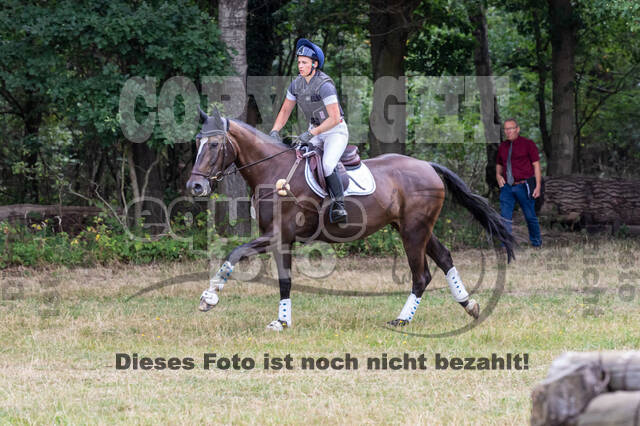 Late-Entry Vielseitigkeit Hamminkeln/Wesel (01.+02.08.2020)