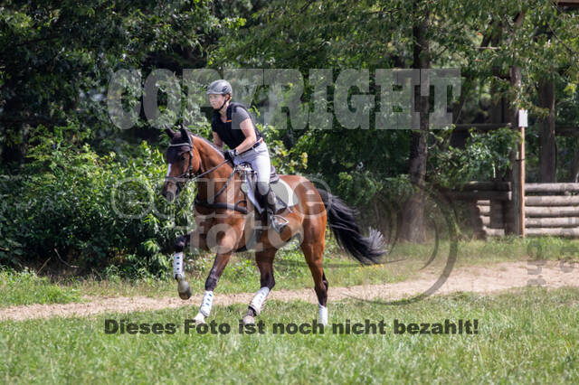 Late-Entry-Vielseitigkeit Gahlen (18.07.2020)