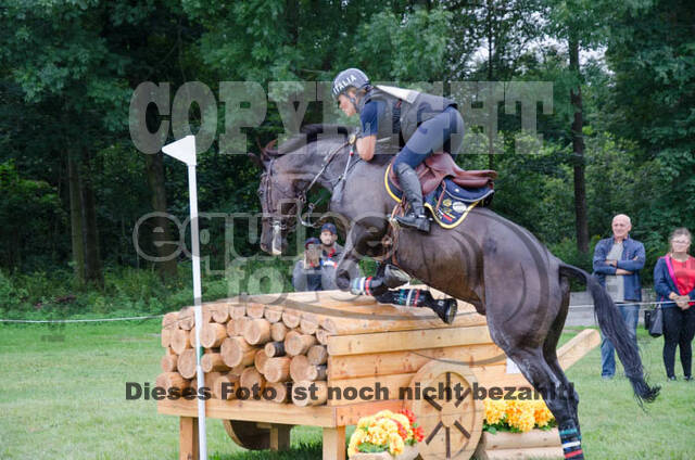 FEI European Championship