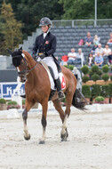 FEI European Championship Eventing 2019