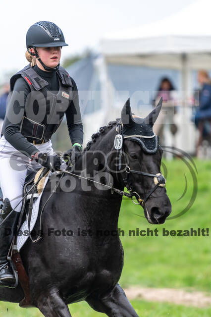 Goldene Schärpe 2020 - Pferde