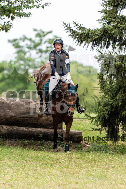 Late-Entry-Vielseitigkeit Langenfeld (11.+13./14.06.2020)