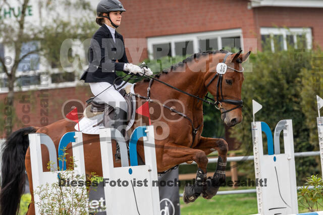 Reiter Schleswig-Holstein