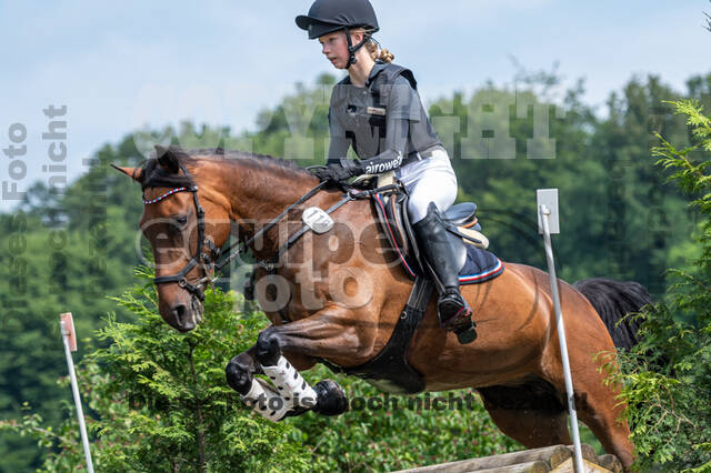 Goldene Schärpe 2021 - Ponys
