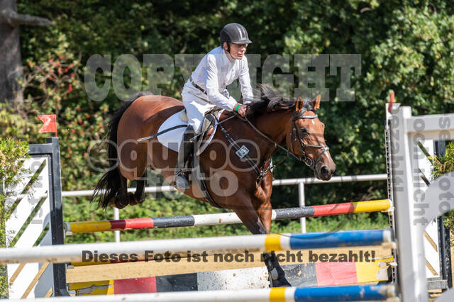RFV Dinslaken-Hiesfeld (Herbstturnier)