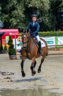 Goldene Schärpe 2021 - Ponys