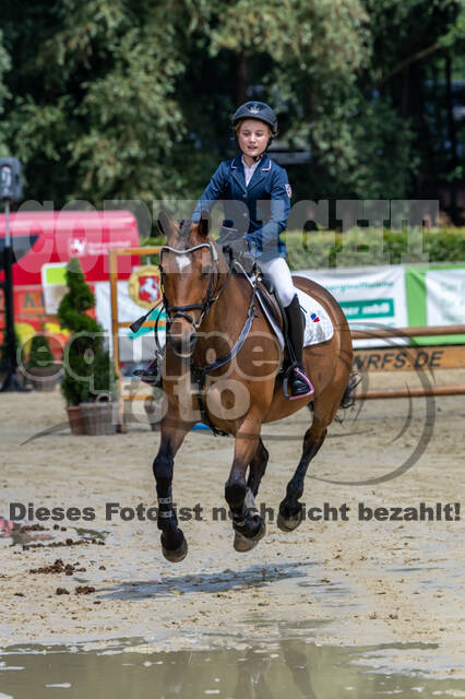 Goldene Schärpe 2021 - Ponys