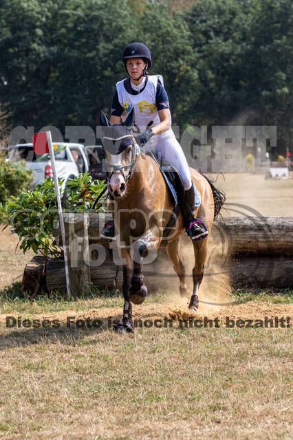Late-Entry Vielseitigkeit Hamminkeln/Wesel (01.+02.08.2020)