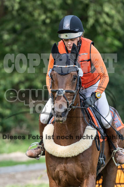 Late-Entry-Vielseitigkeit Langenfeld (06.+07.07.2020)