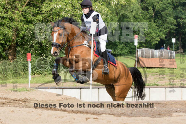 Vielseitigkeitsturnier ZRFV von Lützow Hamminkeln
