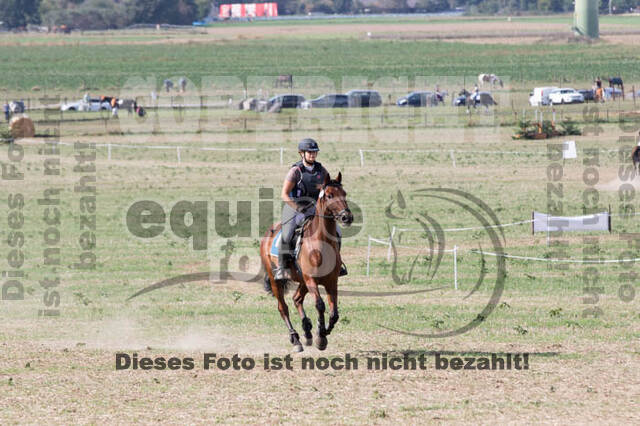 IGV Kleve