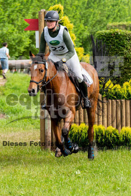 Westerstede Horse Trials 2021