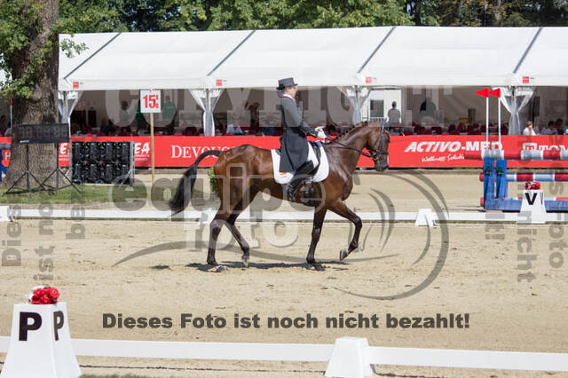 FEI European Championship Eventing 2017