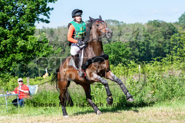 Westerstede Horse Trials (10.-13.06.2021)