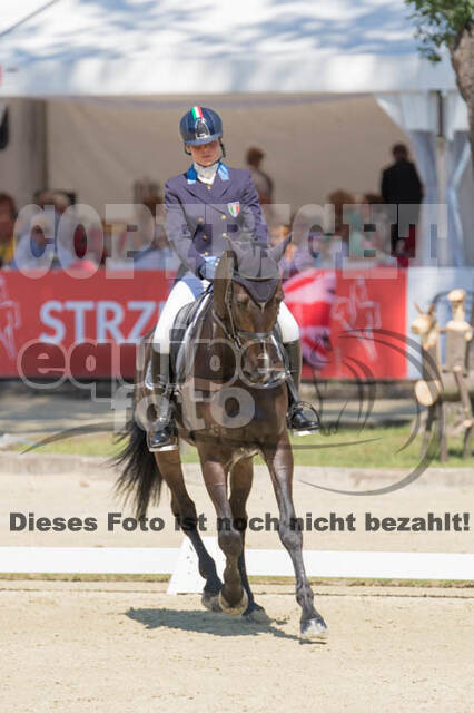 FEI European Championship