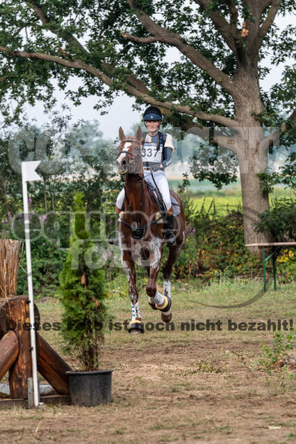 De Peelbergen (August 2020)