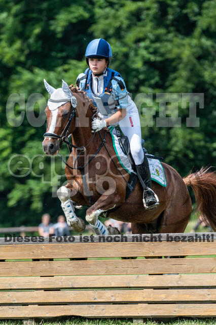 Goldene Schärpe 2021 - Ponys