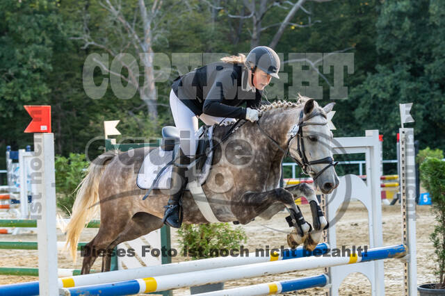 RFV Dinslaken-Hiesfeld (Herbstturnier)
