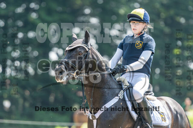 Goldene Schärpe 2021 - Ponys