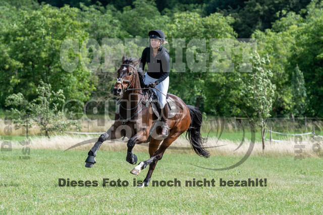 Bonn-Rodderberg Late-Entry-Vielseitigkeit (30.06.2020)