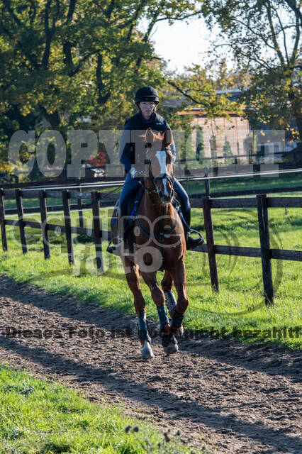 Vielseitigkeitslehrgang mit Jürg Kurbel (9.+10.11.2019)