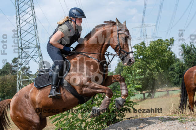 Hunter Geländetraining (16.08.2020)
