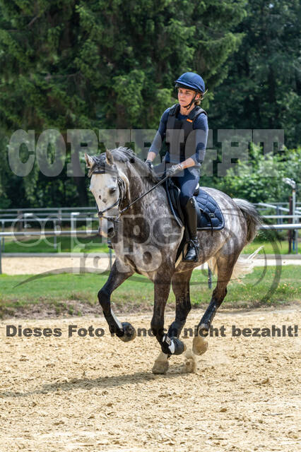 Hunter Geländetraining 10.07.2021 (Sonsbeck)