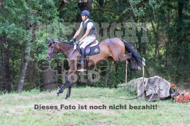 Late-Entry Vielseitigkeit Hamminkeln/Wesel (01.+02.08.2020)