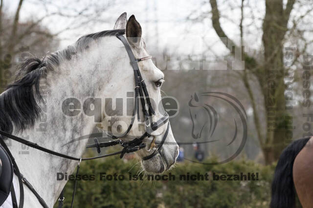 Geländetraining RSV St. Hubertus Wesel Obrighoven