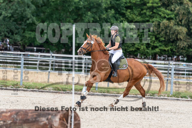 Late-Entry-Vielseitigkeit Langenfeld (11.+13./14.06.2020)