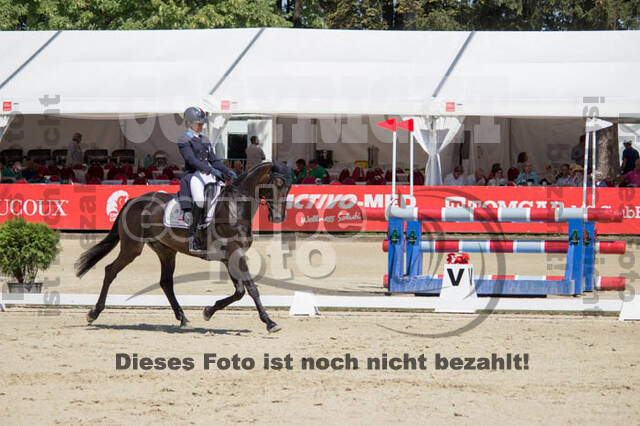 FEI European Championship