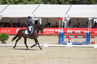 FEI European Championship