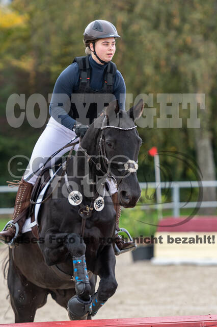 Goldene Schärpe 2020 - Pferde