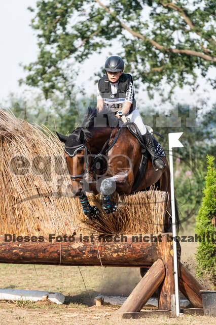 De Peelbergen (August 2020)