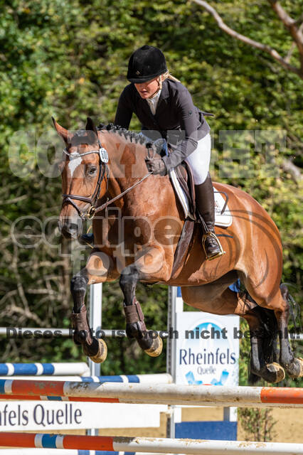 RFV Dinslaken-Hiesfeld (Herbstturnier)