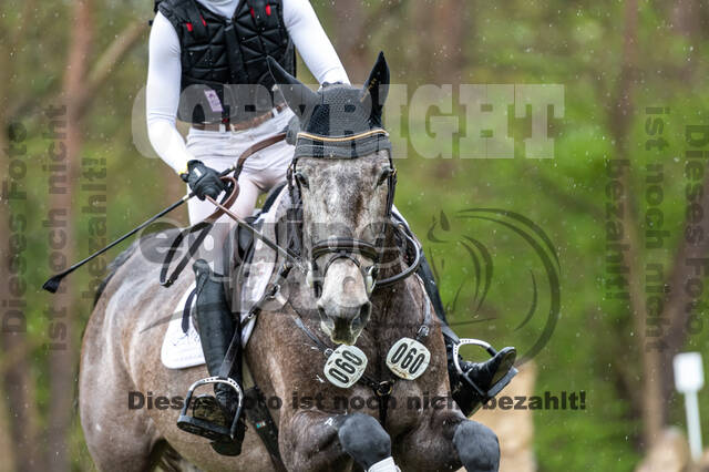 Geländepferdetag beim ZRFV von Lützow Hamminkeln (08.05.2021)