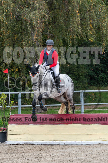 Goldene Schärpe 2020 - Pferde