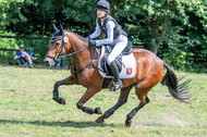 Goldene Schärpe 2021 - Ponys