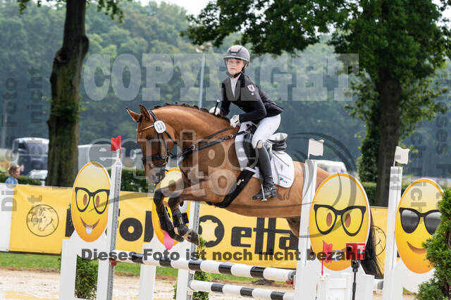 Goldene Schärpe 2021 - Ponys