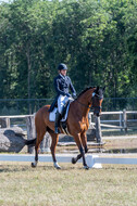 Kronenberg - De Peelbergen (August 2020)
