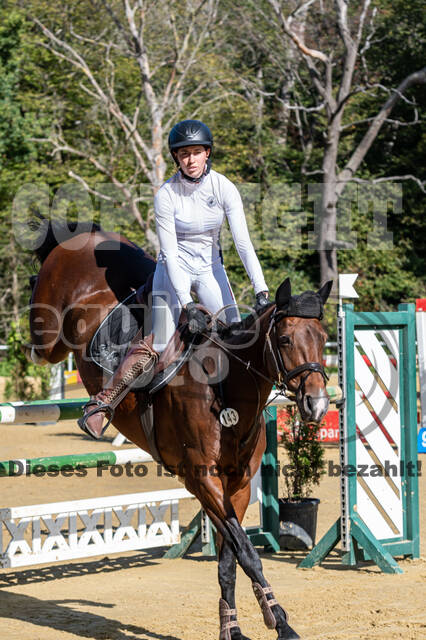 RFV Dinslaken-Hiesfeld (Herbstturnier)