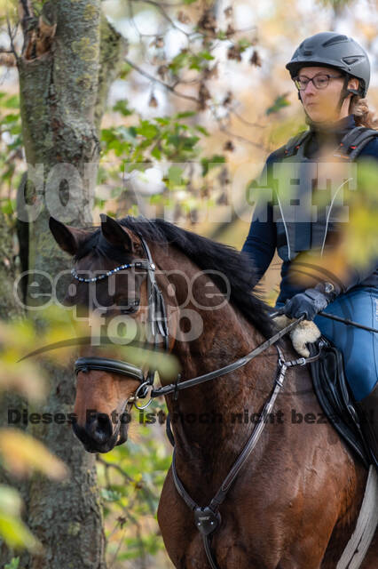 IGV Lehrgang der Sieger der Cups mit Frank Ostholt